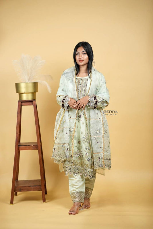 Organza Salwar Suites